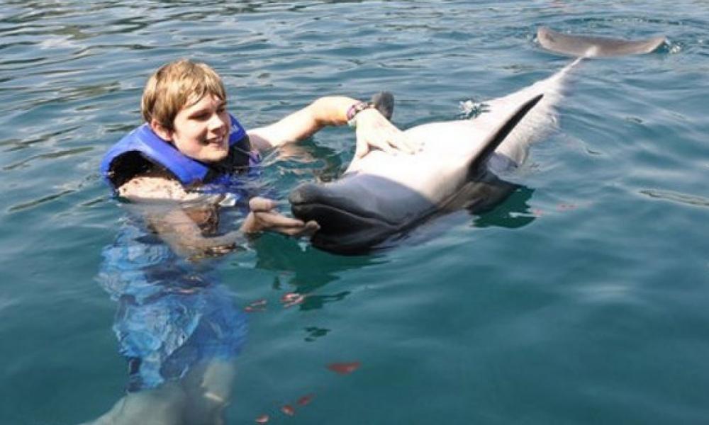 Swimming With Dolphin